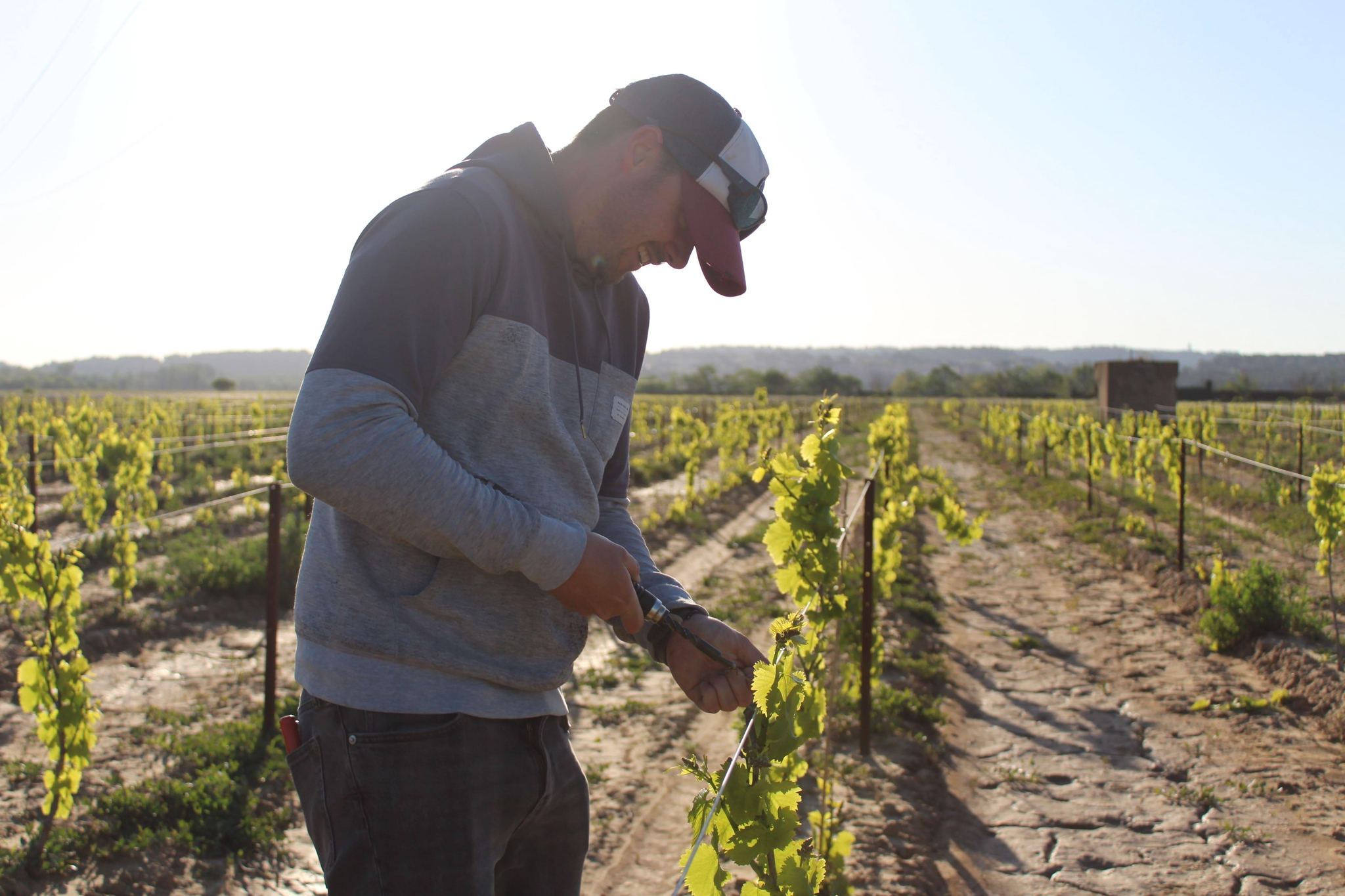 Vigneron travaillant dans les vignes