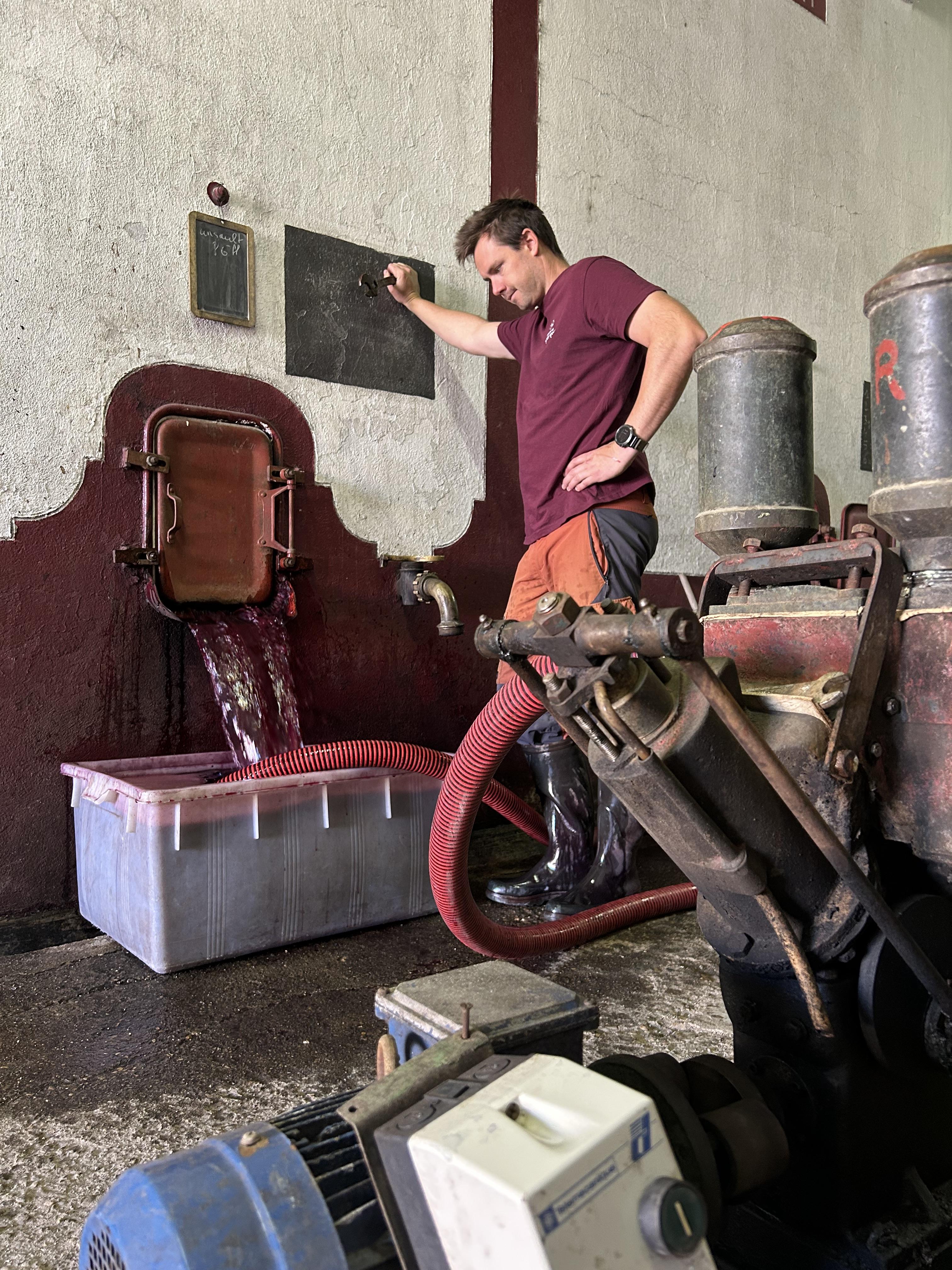 Vinification au Domaine de Sainte Anne